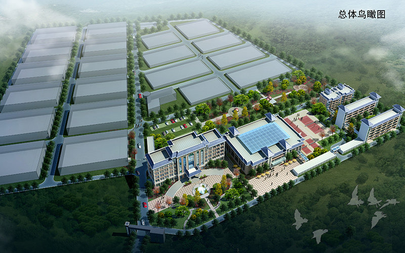 市政道路工程监理工作举措，都可以从哪些层面分析