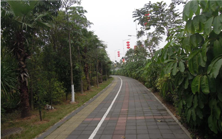 华星光电景观提升