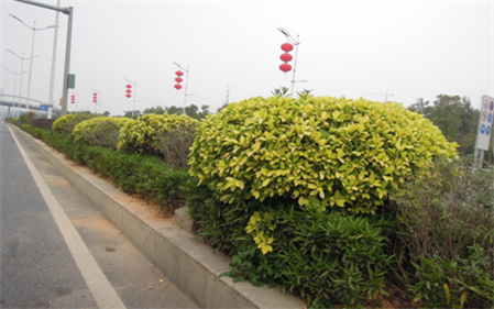 南光高速塘明出口景观提升